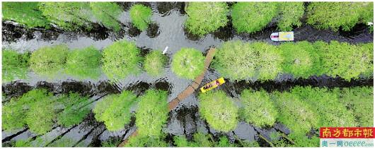 “一場(chǎng)城市建設(shè)理念的革命”：至少15城試水“公園城市”