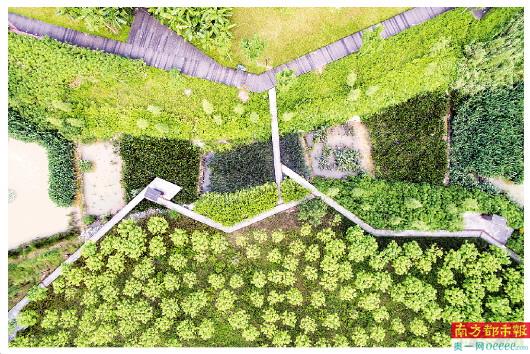 “一場(chǎng)城市建設(shè)理念的革命”：至少15城試水“公園城市”