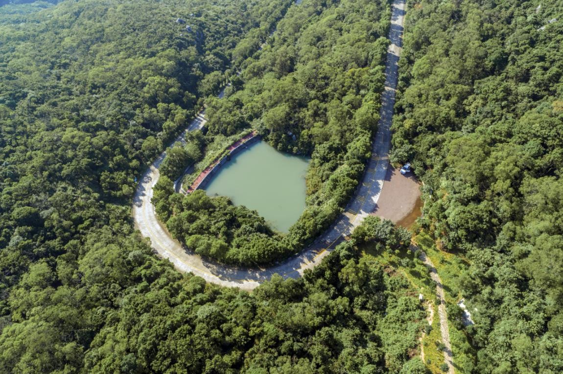 2019園冶杯專業(yè)獎丨廣東南澳海島國家森林公園總體規(guī)劃