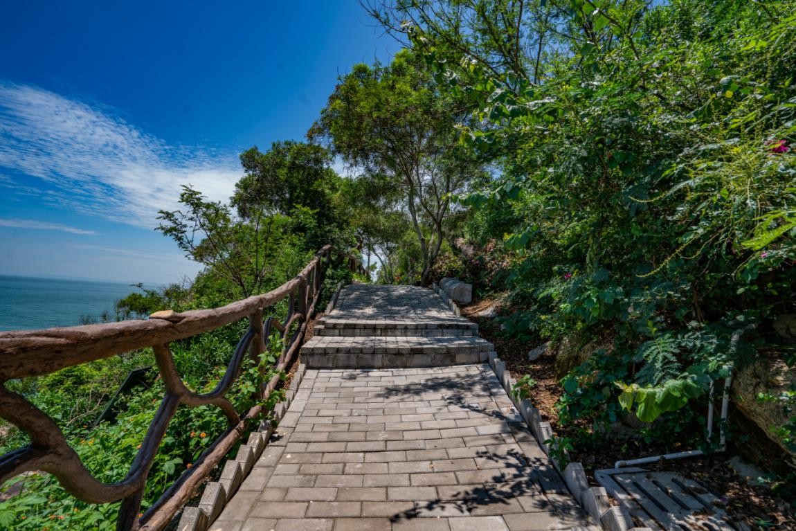 2019園冶杯專業(yè)獎丨廣東南澳海島國家森林公園總體規(guī)劃