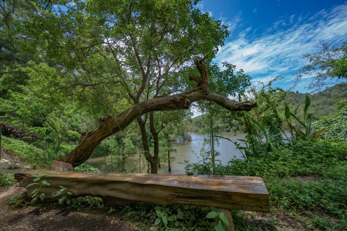 2019園冶杯專業(yè)獎丨廣東南澳海島國家森林公園總體規(guī)劃