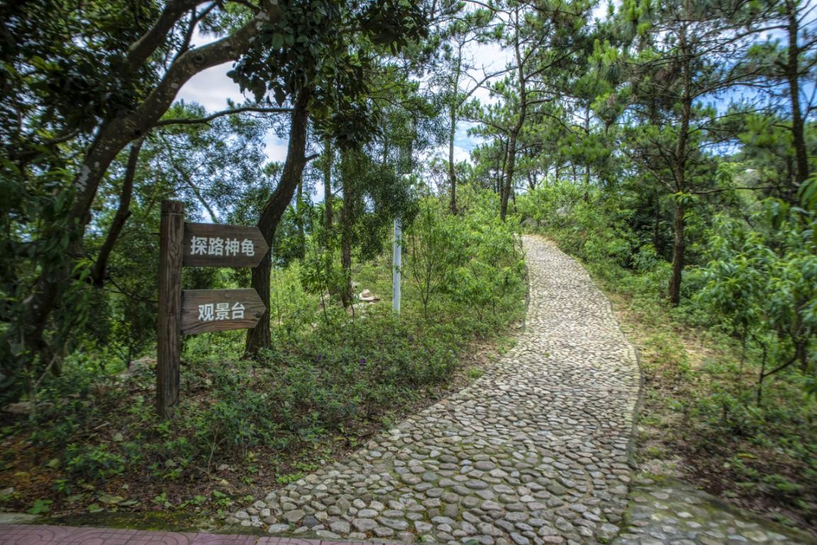 2019園冶杯專業(yè)獎丨廣東南澳海島國家森林公園總體規(guī)劃