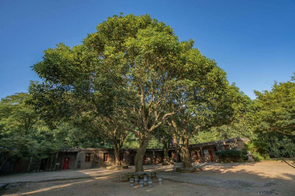 2019園冶杯專業(yè)獎丨廣東南澳海島國家森林公園總體規(guī)劃