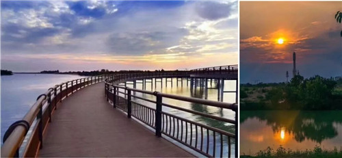 2019園冶杯專業獎丨荊門愛飛客極客公園