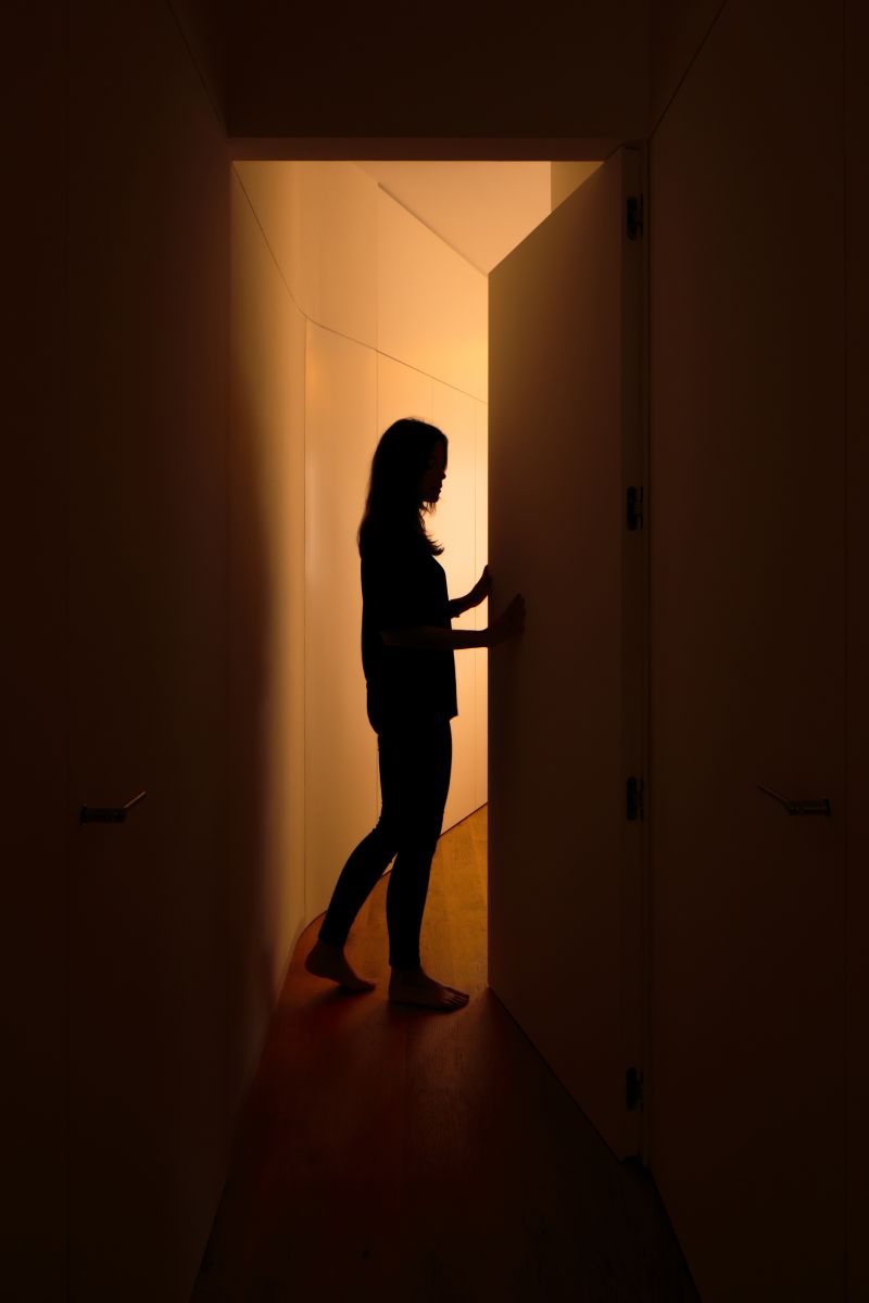 2019園冶杯專業(yè)獎|CíSCAR街上的屋子House on CíSCAR street