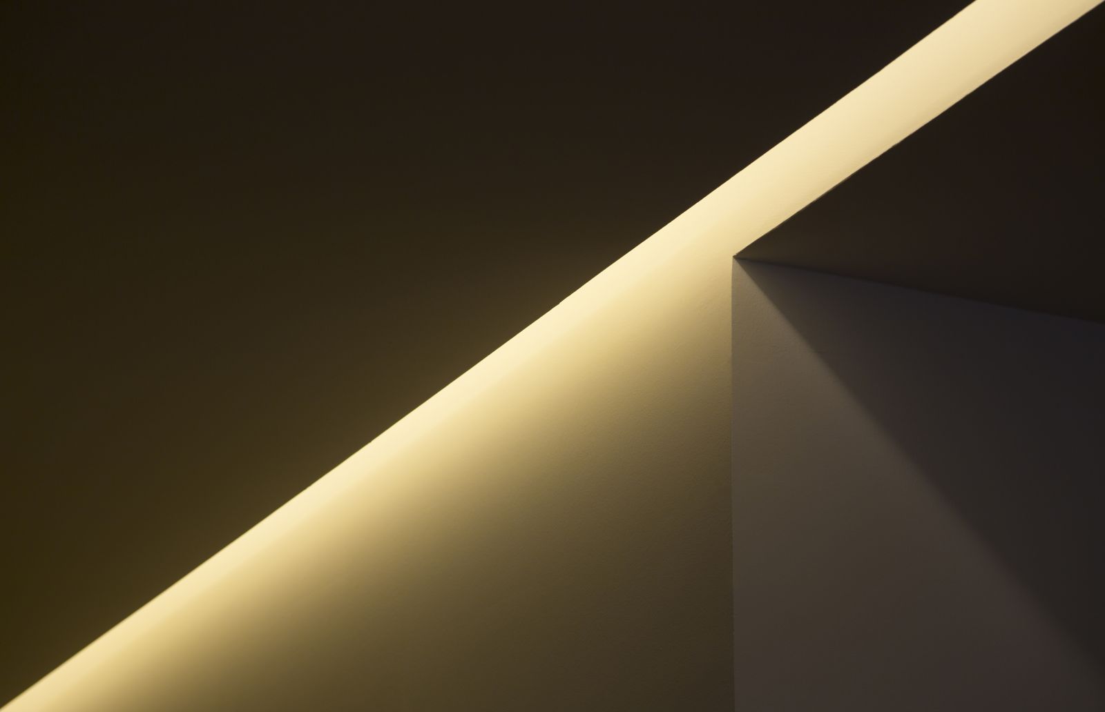 2019園冶杯專業(yè)獎|CíSCAR街上的屋子House on CíSCAR street