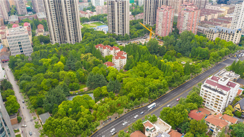 當城市公園成為社區“后花園”