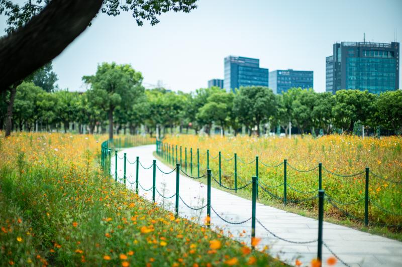 當城市公園成為社區“后花園”