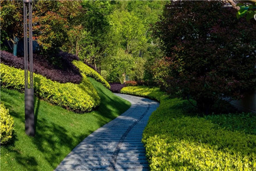 2019園冶杯專業獎丨南京高科紫微堂