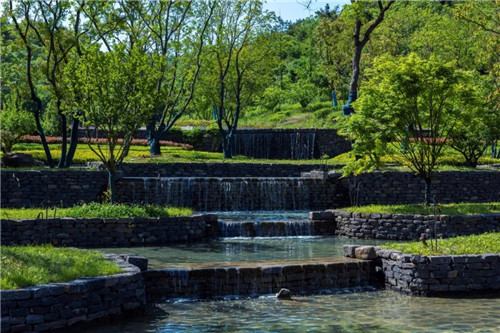 2019園冶杯專業獎丨南京高科紫微堂