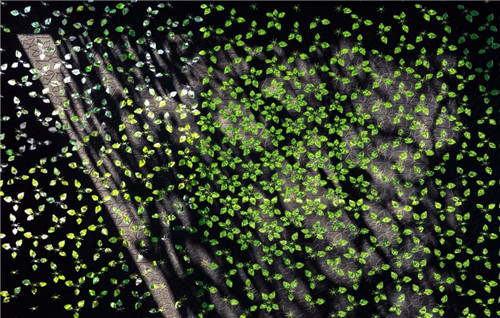 2019園冶杯專業獎丨南京高科紫微堂