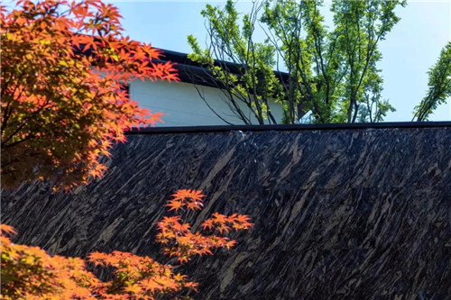 2019園冶杯專業獎丨南京高科紫微堂