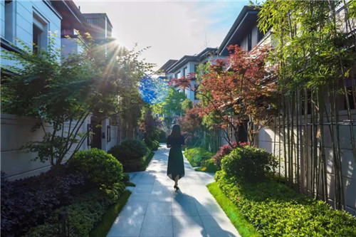 2019園冶杯專業獎丨南京高科紫微堂