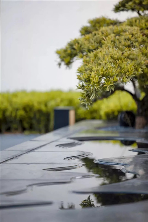 集江山大美 尋詩意江畔 | 金科集美江畔