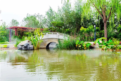 2019園冶杯專業獎丨2019中國北京世界園藝博覽會 —— 河北園