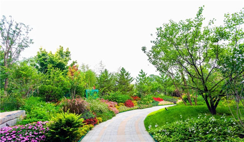 2019園冶杯專業獎丨2019中國北京世界園藝博覽會 —— 河北園