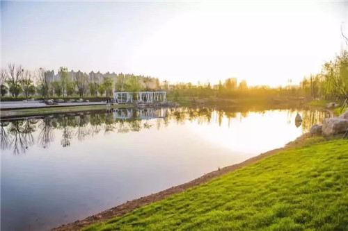 2019園冶杯專業獎丨長沙市望城區“一路一園”建設工程項目銀星灣公園