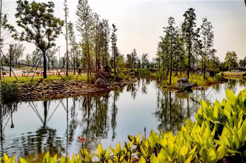 2019園冶杯專業獎丨長沙市望城區“一路一園”建設工程項目銀星灣公園