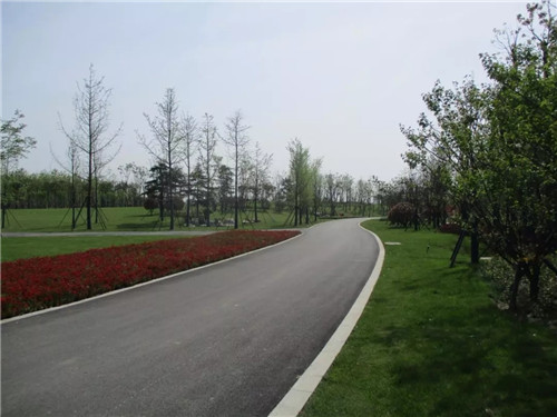 2019園冶杯專業獎丨長沙市望城區“一路一園”建設工程項目銀星灣公園