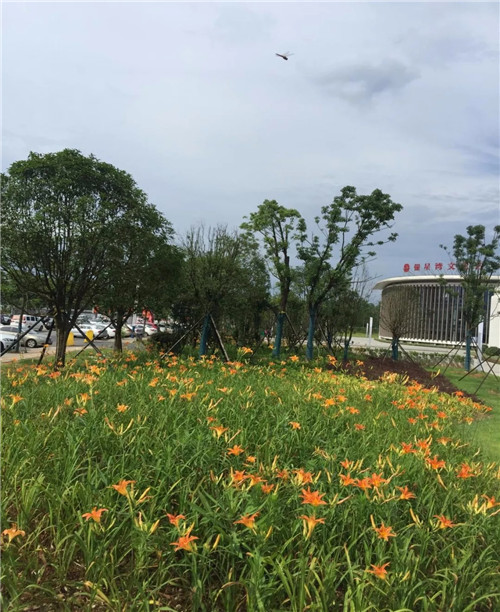 2019園冶杯專業獎丨長沙市望城區“一路一園”建設工程項目銀星灣公園