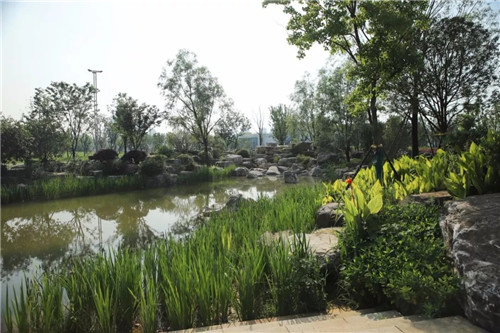 2019園冶杯專業獎丨長沙市望城區“一路一園”建設工程項目銀星灣公園