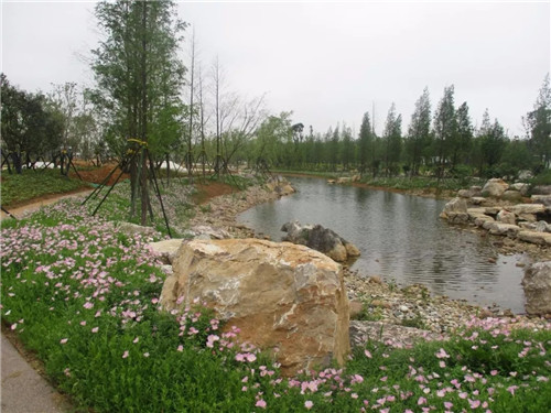 2019園冶杯專業獎丨長沙市望城區“一路一園”建設工程項目銀星灣公園