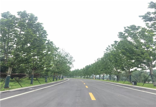 2019園冶杯專業獎丨長沙市望城區“一路一園”建設工程項目銀星灣公園