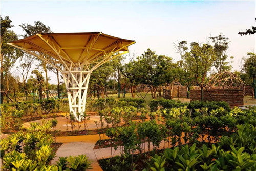 2019園冶杯專業獎丨長沙市望城區“一路一園”建設工程項目銀星灣公園