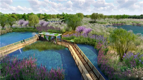 2019園冶杯專業獎丨樺南幸福濕地公園景觀設計