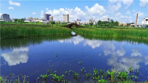 2019園冶杯專業獎丨樺南幸福濕地公園景觀設計