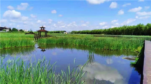 2019園冶杯專業獎丨樺南幸福濕地公園景觀設計