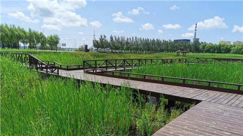 2019園冶杯專業獎丨樺南幸福濕地公園景觀設計