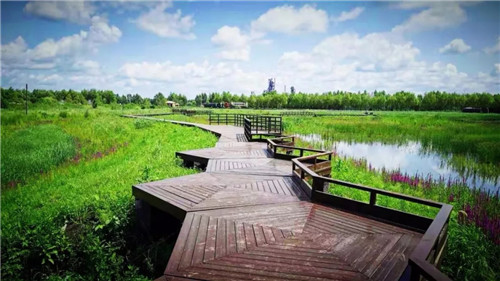 2019園冶杯專業獎丨樺南幸福濕地公園景觀設計