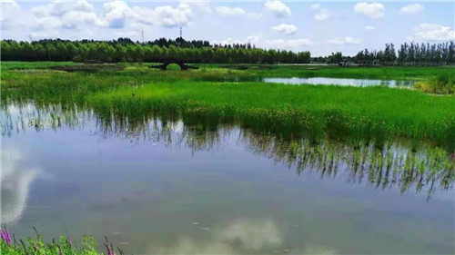 2019園冶杯專業獎丨樺南幸福濕地公園景觀設計