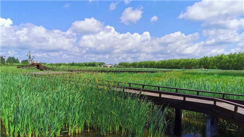 2019園冶杯專業獎丨樺南幸福濕地公園景觀設計