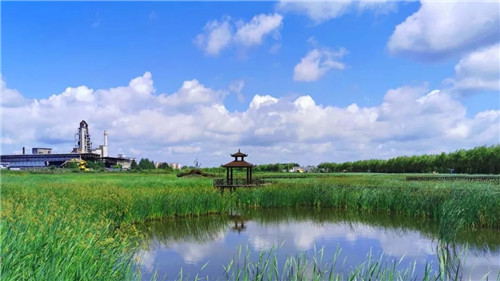 2019園冶杯專業獎丨樺南幸福濕地公園景觀設計