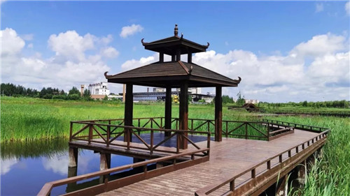 2019園冶杯專業獎丨樺南幸福濕地公園景觀設計