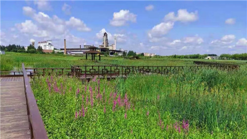 2019園冶杯專業獎丨樺南幸福濕地公園景觀設計