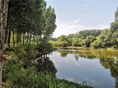 2019園冶杯專業(yè)獎丨灃河綜合治理二期西漢高速—G310國道景觀設計