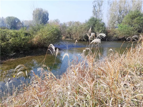 2019園冶杯專業(yè)獎丨灃河綜合治理二期西漢高速—G310國道景觀設計