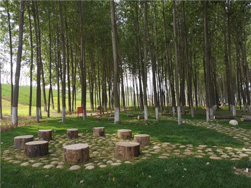 2019園冶杯專業(yè)獎丨灃河綜合治理二期西漢高速—G310國道景觀設計