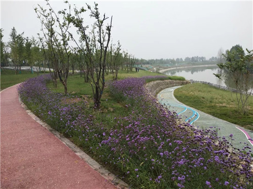 2019園冶杯專業(yè)獎丨灃河綜合治理二期西漢高速—G310國道景觀設計