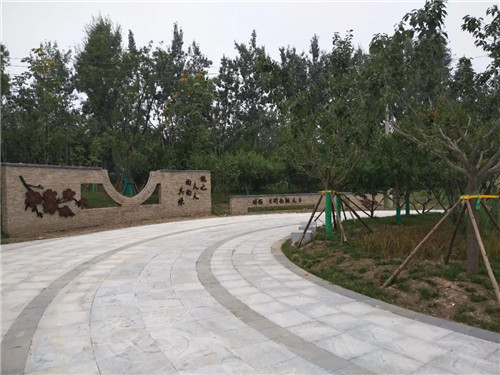 2019園冶杯專業(yè)獎丨灃河綜合治理二期西漢高速—G310國道景觀設計