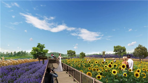 2019園冶杯專業(yè)獎丨灃河綜合治理二期西漢高速—G310國道景觀設計