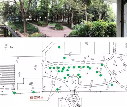 2019園冶杯專業獎丨上海華東師范大學麗娃河畔化雨書齋改造設計