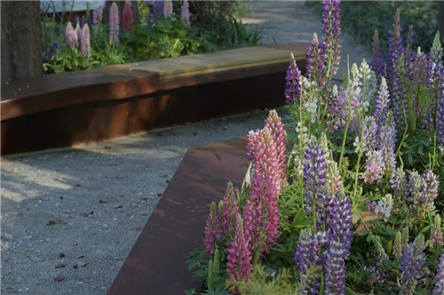 2019園冶杯專業獎丨上海華東師范大學麗娃河畔化雨書齋改造設計