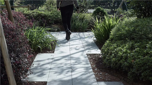 2019園冶杯專業獎丨上海華東師范大學麗娃河畔化雨書齋改造設計