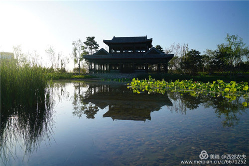 第三屆河北(邢臺)園博會園林建筑精品大收藏