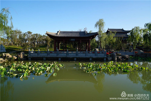 第三屆河北(邢臺)園博會園林建筑精品大收藏