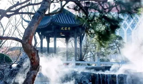 2019園冶杯專業(yè)獎(jiǎng)丨達(dá)州藍(lán)光芙蓉風(fēng)華